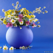 Схема вышивки «№339558»