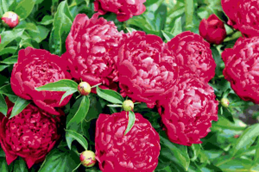 №339560 - предпросмотр