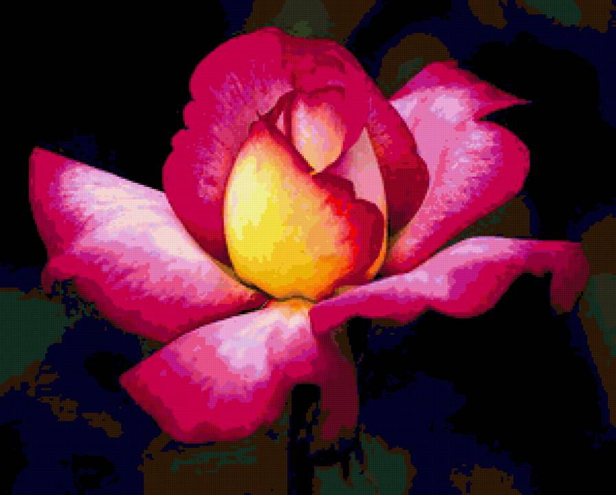 роза - розы, роза, цветок, цветы - предпросмотр