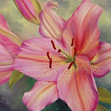 Схема вышивки «Цветы»