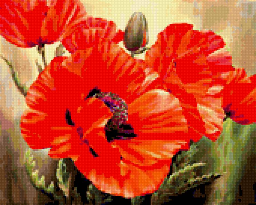 Цветы - предпросмотр