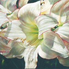 Схема вышивки «Цветы»