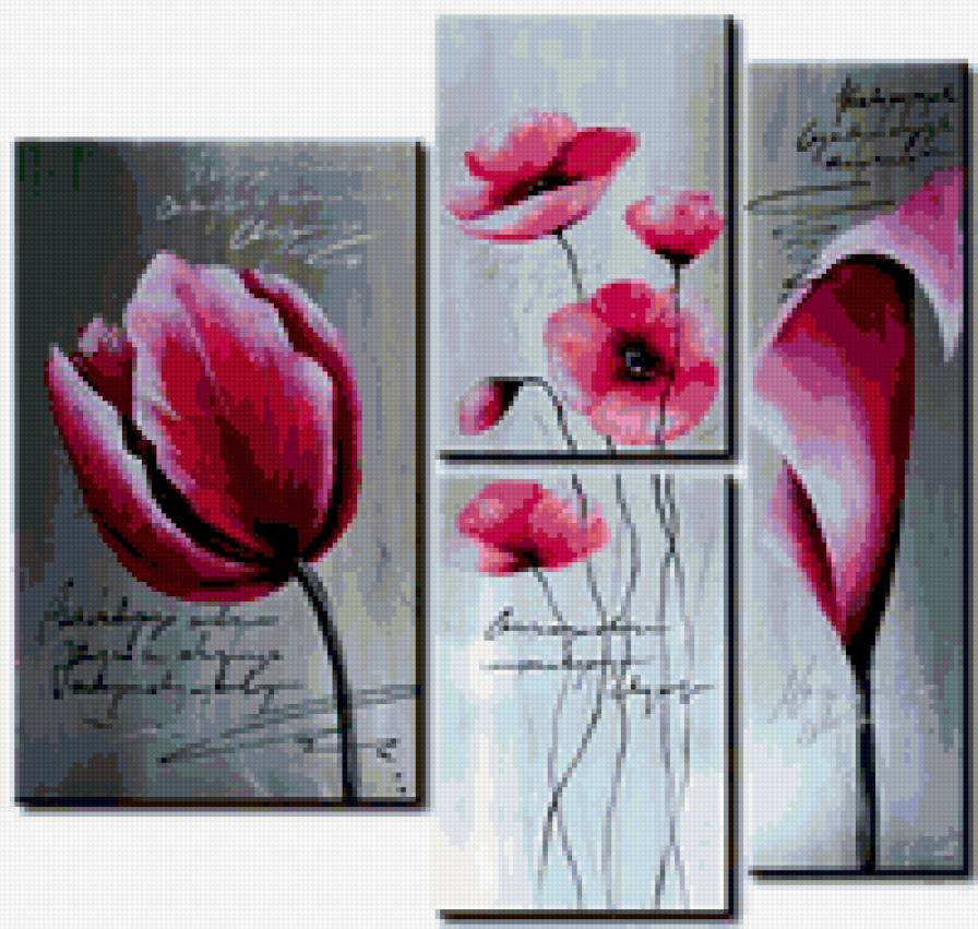 Тюльпан полиптрих - полиптрих, цветы, тюльпан - предпросмотр