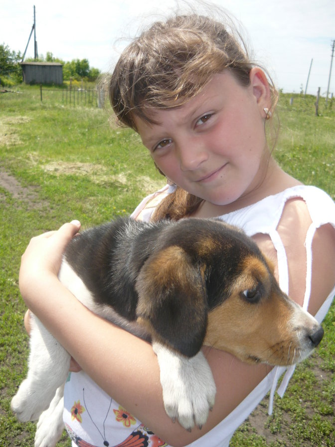 №340182 - оригинал