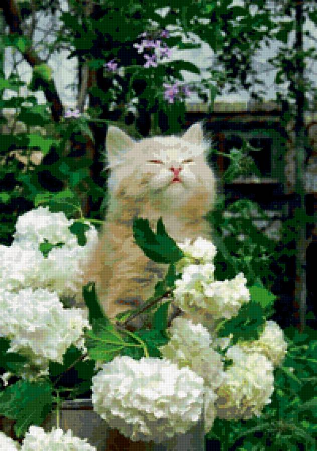 №340190 - предпросмотр