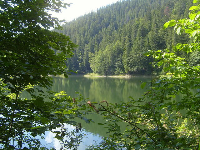 пейзаж - оригинал