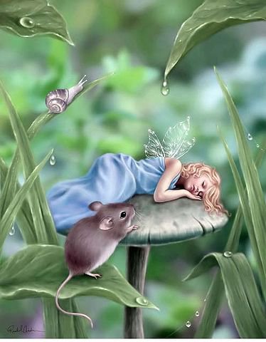 №340242 - оригинал