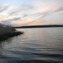 Оригинал схемы вышивки «тошнгиит свинью» (№340260)