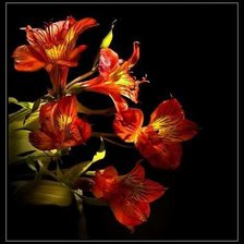 Схема вышивки «цветы»