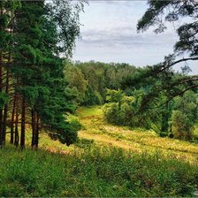 Схема вышивки «лесная»