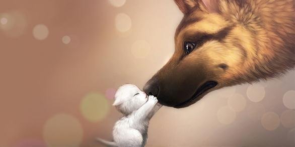 Поцелуй :) - дружба, котенок, собака, животные - оригинал