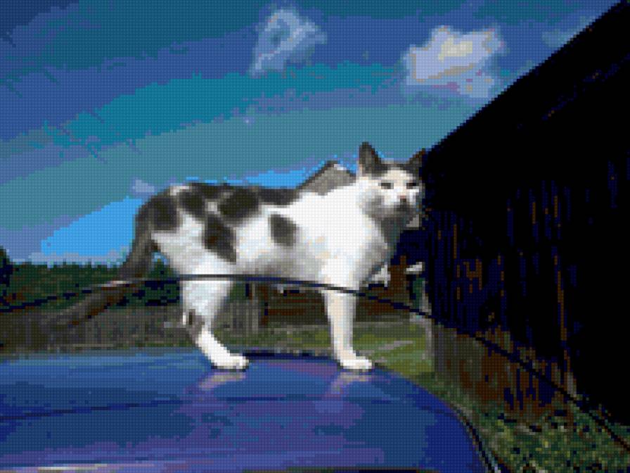 Жду... - предпросмотр