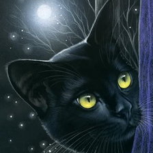 коты Гармашовой Ирины 2