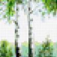 Предпросмотр схемы вышивки «Тропинка среди берез.» (№340640)