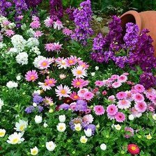 Оригинал схемы вышивки «цветы» (№340799)