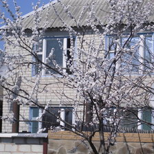 Схема вышивки «№340805»