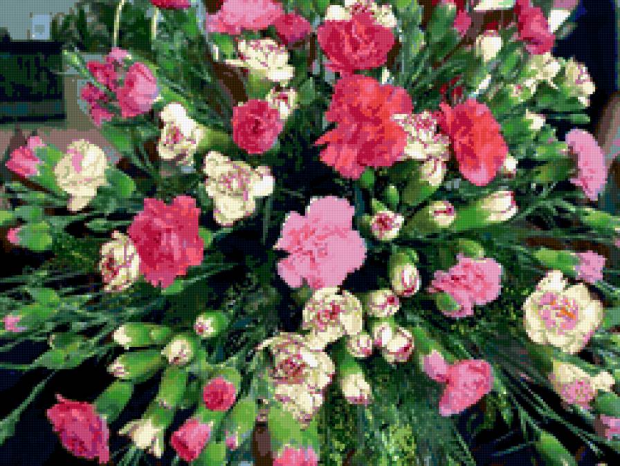 букет - бутоны, букет, гвоздики, цветы - предпросмотр