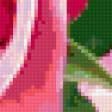 Предпросмотр схемы вышивки «роза» (№340921)