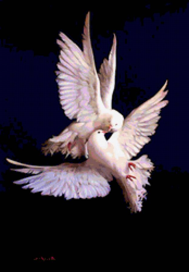 голуби - на черном, птицы - предпросмотр