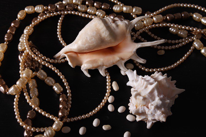 натюрморт - оригинал