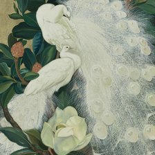 Схема вышивки «ПАВЛИНЫ»