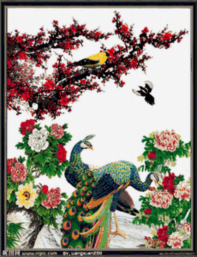 ПАВЛИНЫ - предпросмотр