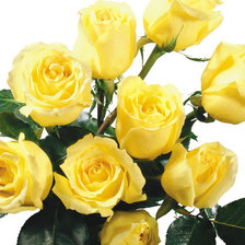 Оригинал схемы вышивки «желтые розы» (№341338)