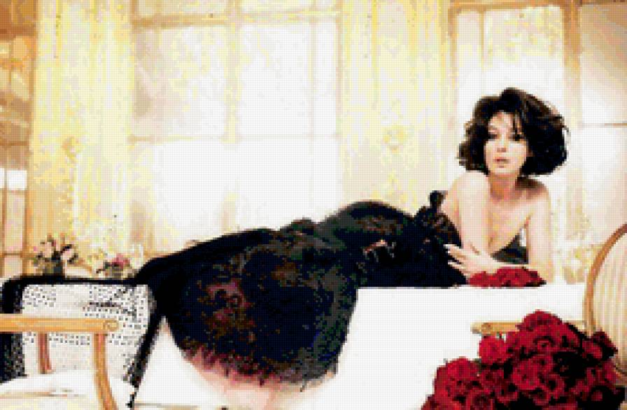 Моника Беллучи - актриса, беллучи, девушка - предпросмотр