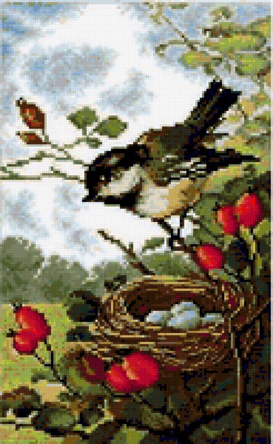 №341604 - предпросмотр