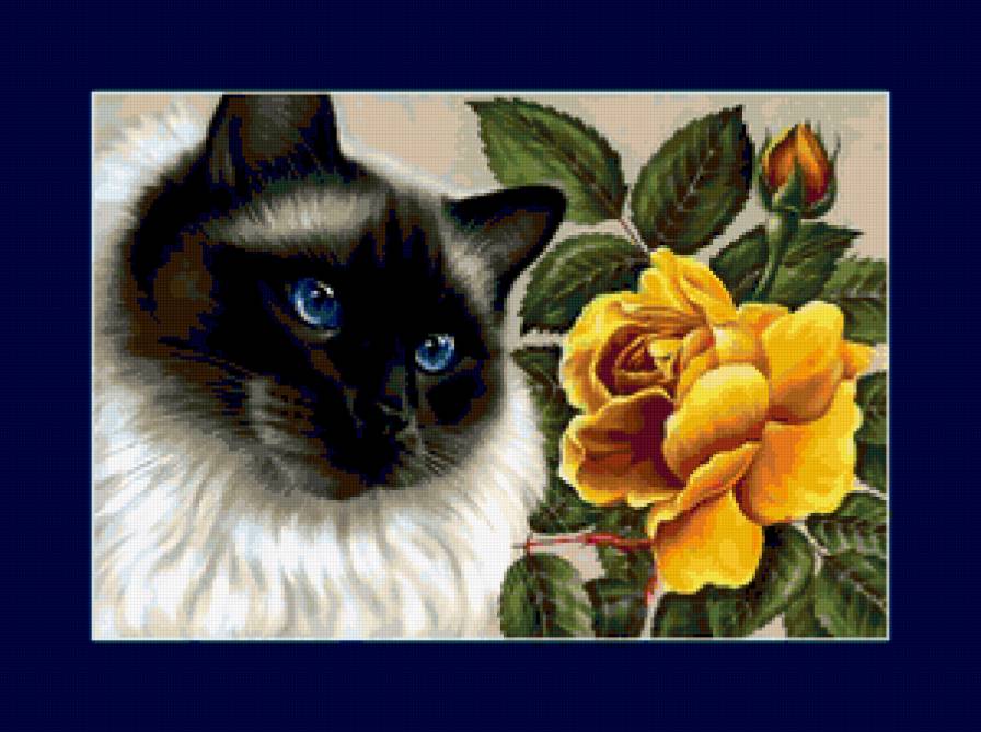 картина - кошки - предпросмотр