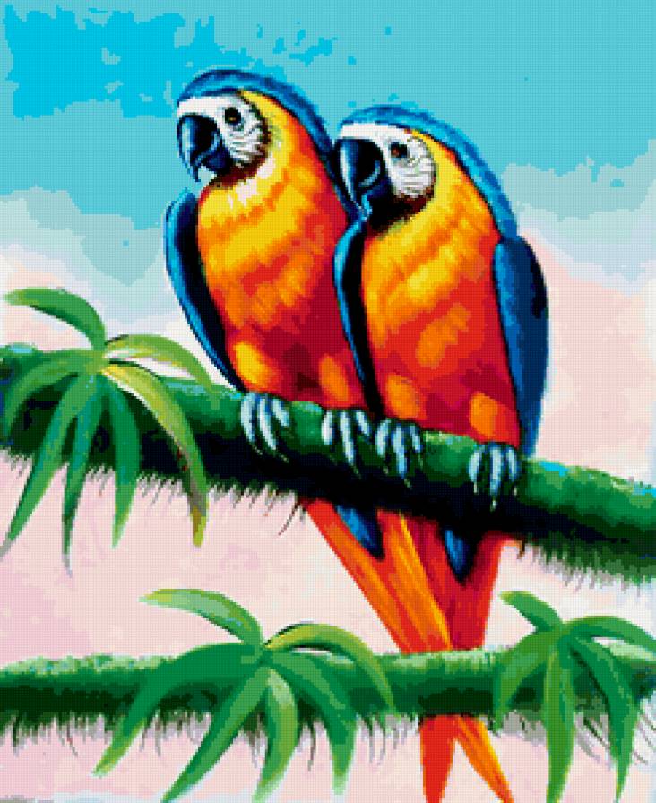 пара попугаев - предпросмотр