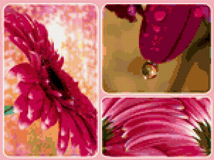 Триптих гербера - триптих, гербера, полиптих, букет, цветы - предпросмотр