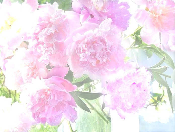 Красивые пионы - пионы - оригинал