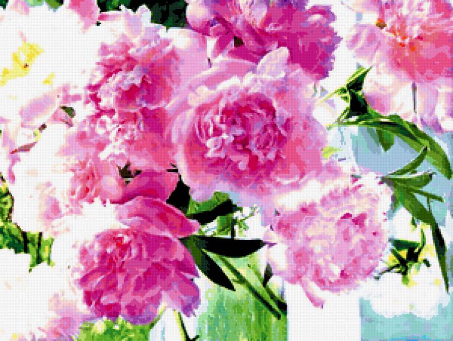 Красивые пионы - пионы - предпросмотр