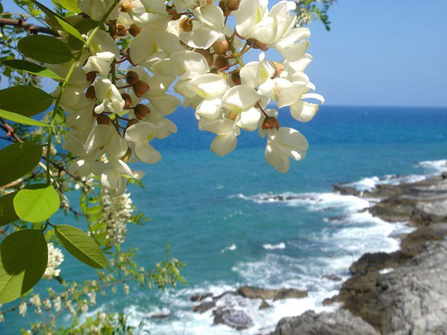 №341859 - оригинал