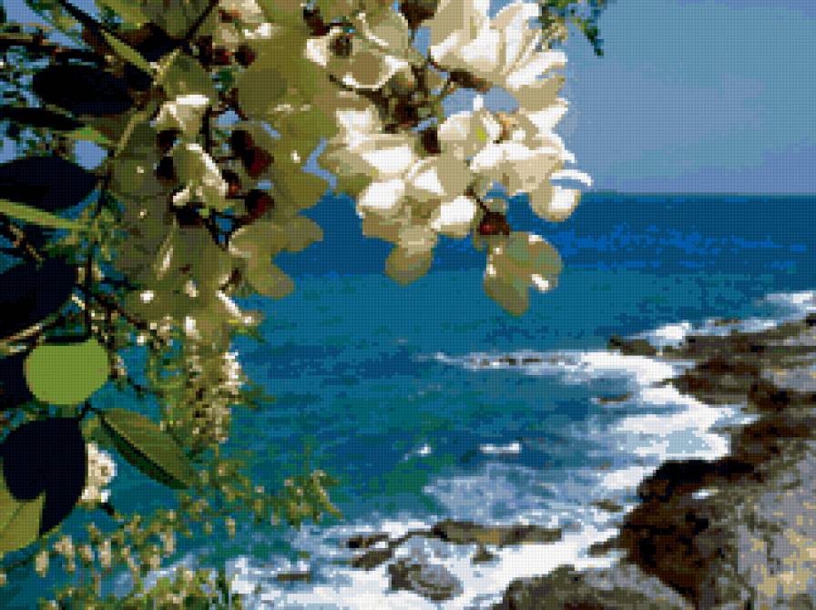 №341859 - предпросмотр