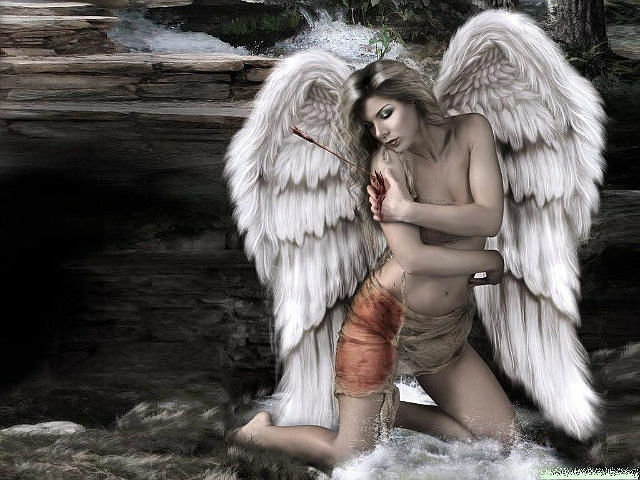 Раненый ангел - девушка, ангел, крылья, фэнтэзи - оригинал