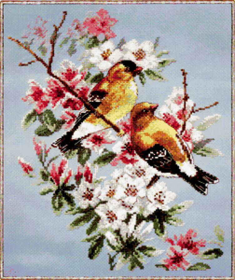 №341912 - цветы, птицы, цветущее дерево, ветка - предпросмотр