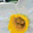 Предпросмотр схемы вышивки «Нарцысы» (№342109)