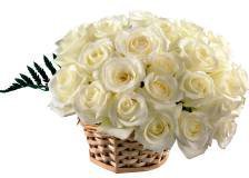 Схема вышивки «№342131»