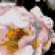 Предпросмотр схемы вышивки «Цветочное настроение» (№342207)