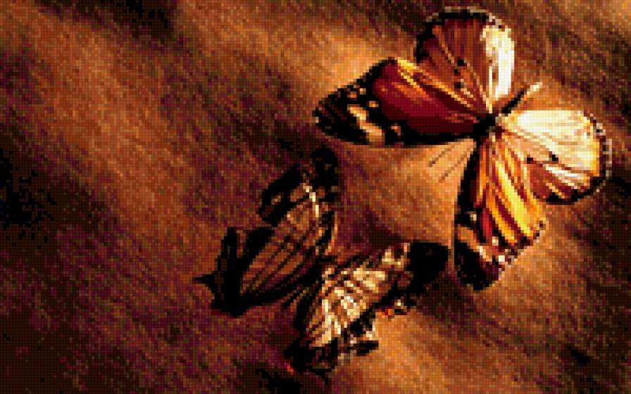 бабочки - насекомые - предпросмотр