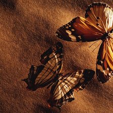 Оригинал схемы вышивки «бабочки» (№342259)