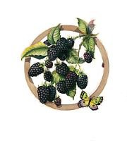 Бабочка - красота.природа - оригинал