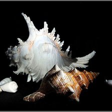 Схема вышивки «натюрморт»