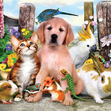 Схема вышивки «№342346»