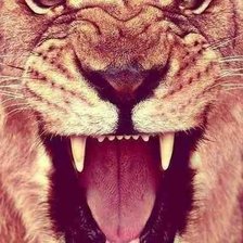 Схема вышивки «Лева»