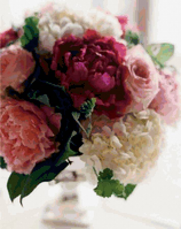 Пионы - предпросмотр