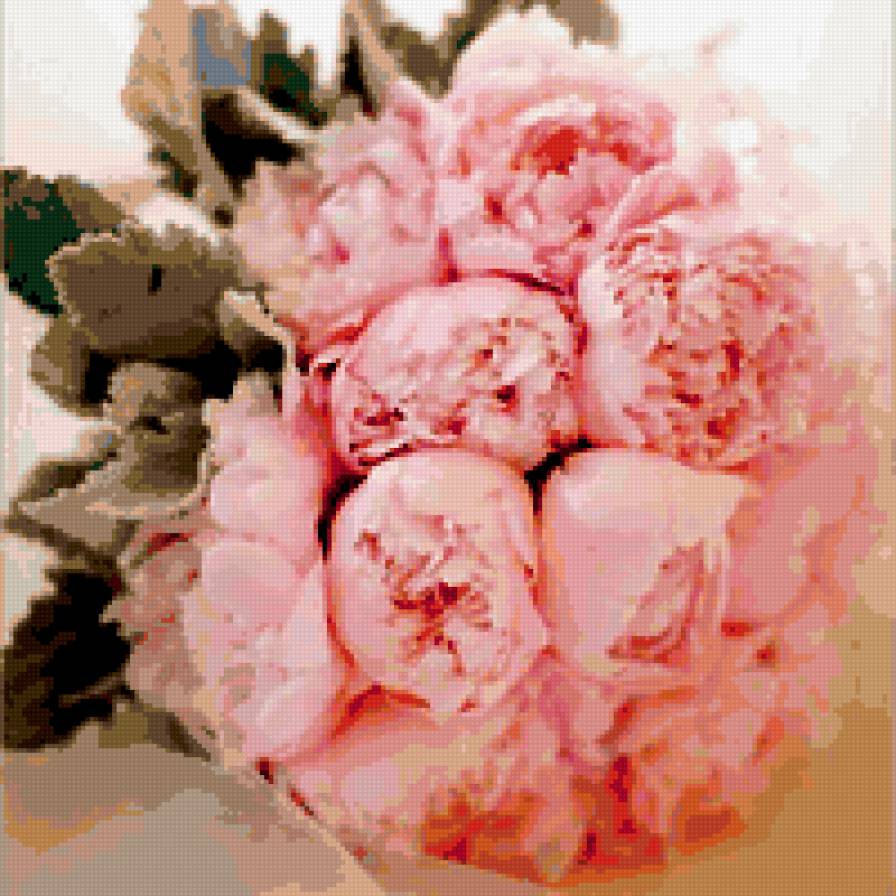 розы - предпросмотр