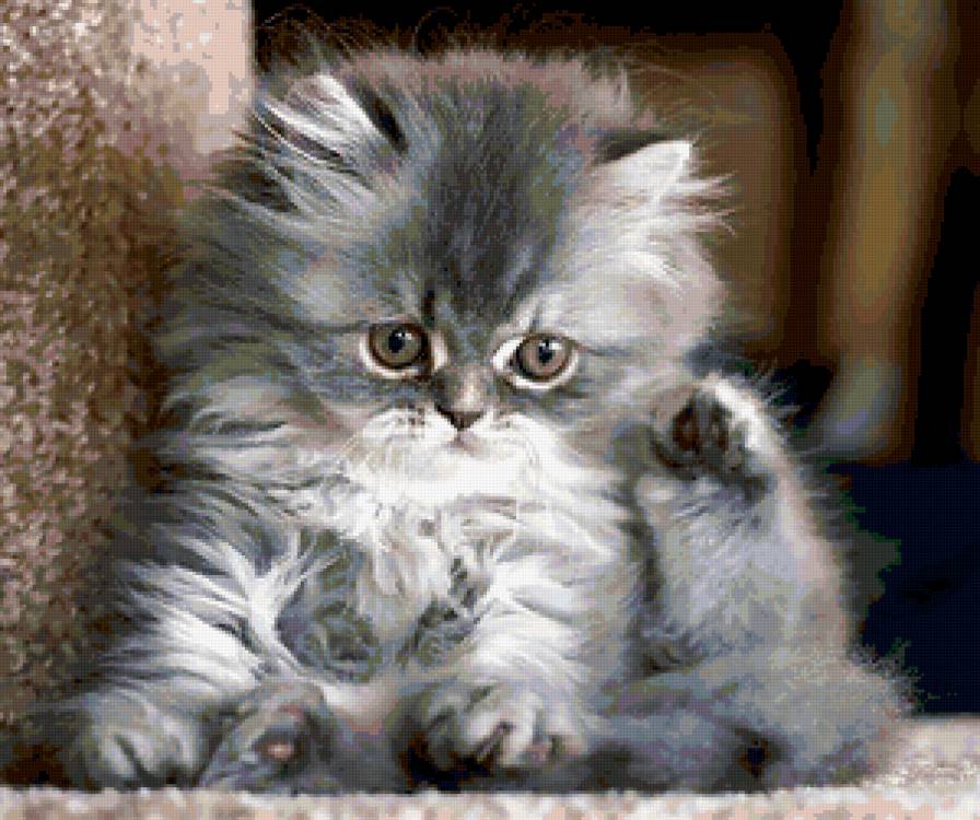 кот - предпросмотр